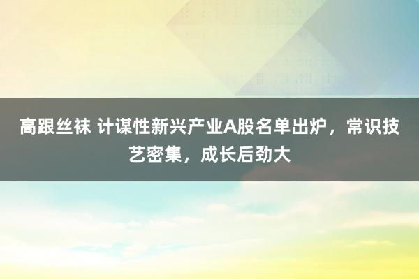 高跟丝袜 计谋性新兴产业A股名单出炉，常识技艺密集，成长后劲大