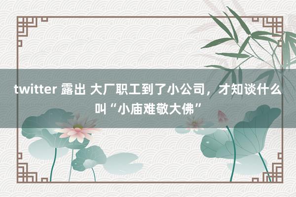 twitter 露出 大厂职工到了小公司，才知谈什么叫“小庙难敬大佛”