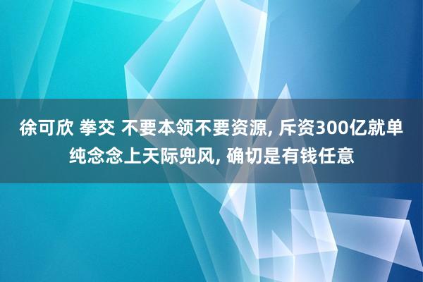 徐可欣 拳交 不要本领不要资源， 斥资300亿就单纯念念上天际兜风， 确切是有钱任意