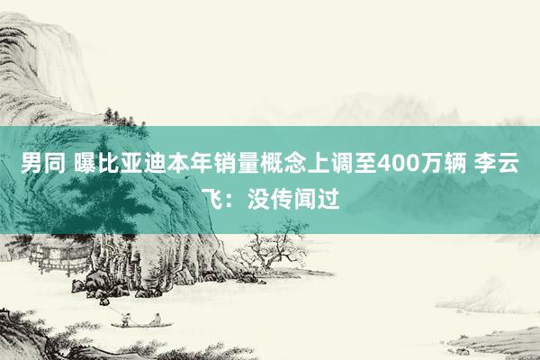 男同 曝比亚迪本年销量概念上调至400万辆 李云飞：没传闻过