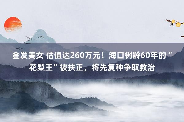 金发美女 估值达260万元！海口树龄60年的“花梨王”被扶正，将先复种争取救治