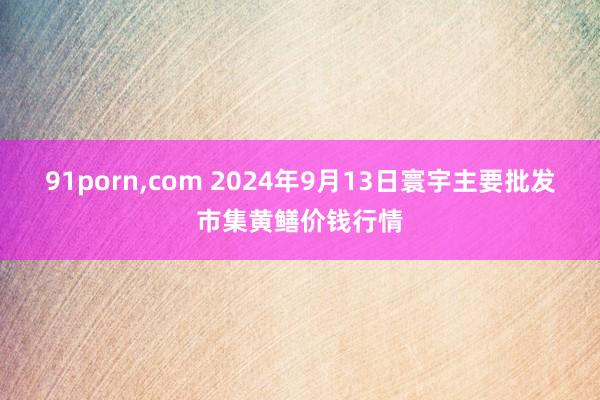 91porn，com 2024年9月13日寰宇主要批发市集黄鳝价钱行情