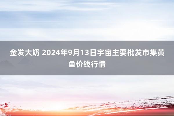 金发大奶 2024年9月13日宇宙主要批发市集黄鱼价钱行情