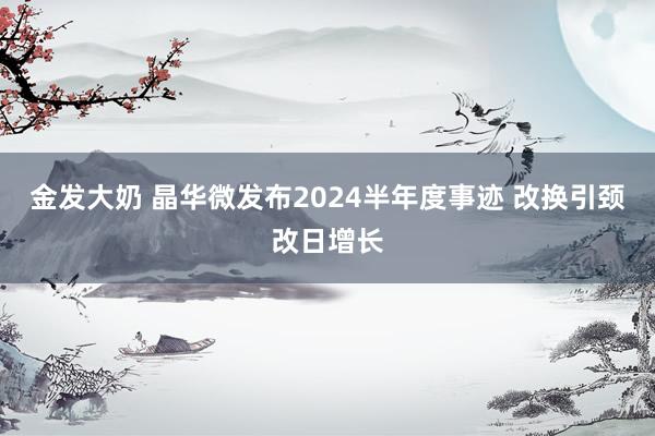 金发大奶 晶华微发布2024半年度事迹 改换引颈改日增长