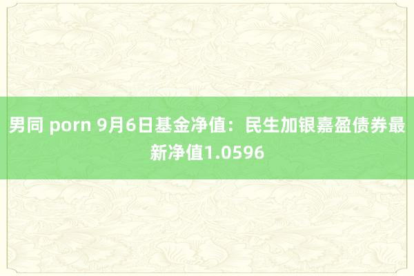 男同 porn 9月6日基金净值：民生加银嘉盈债券最新净值1.0596