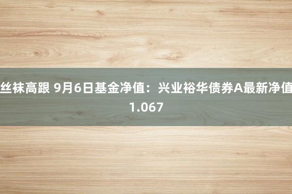 丝袜高跟 9月6日基金净值：兴业裕华债券A最新净值1.067