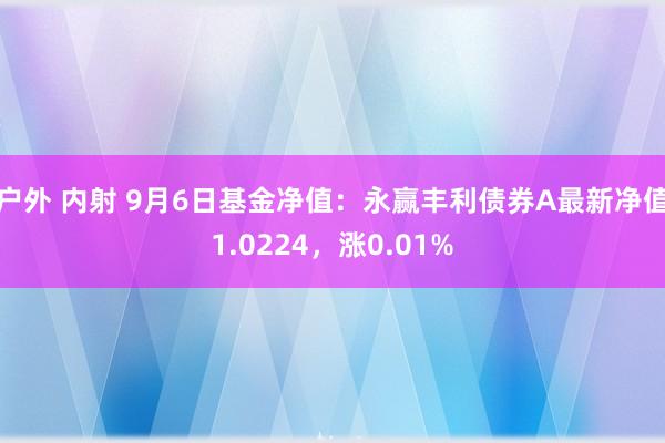 户外 内射 9月6日基金净值：永赢丰利债券A最新净值1.0224，涨0.01%