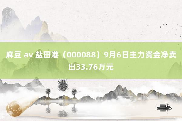 麻豆 av 盐田港（000088）9月6日主力资金净卖出33.76万元