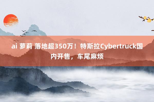 ai 萝莉 落地超350万！特斯拉Cybertruck国内开售，车尾麻烦