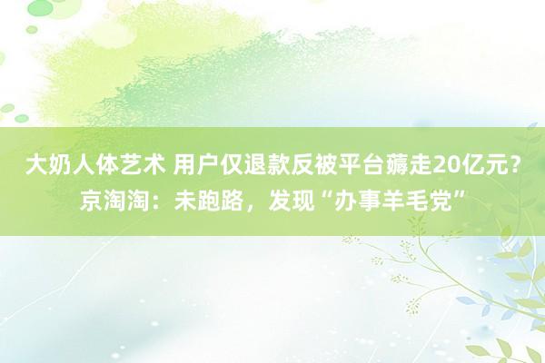 大奶人体艺术 用户仅退款反被平台薅走20亿元？京淘淘：未跑路，发现“办事羊毛党”