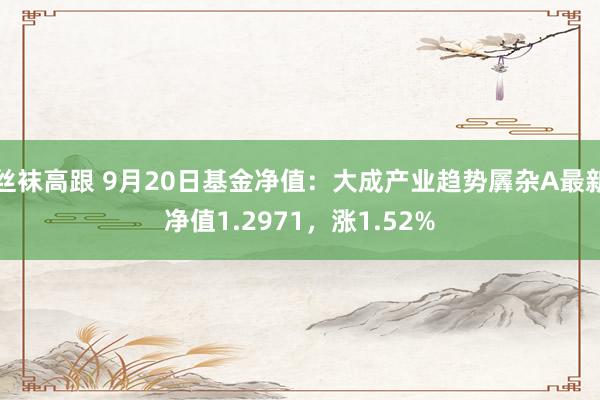 丝袜高跟 9月20日基金净值：大成产业趋势羼杂A最新净值1.2971，涨1.52%