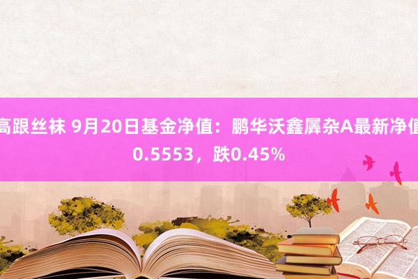 高跟丝袜 9月20日基金净值：鹏华沃鑫羼杂A最新净值0.5553，跌0.45%