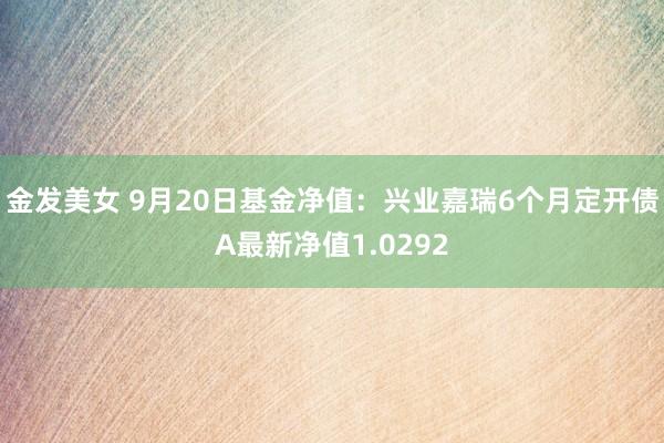 金发美女 9月20日基金净值：兴业嘉瑞6个月定开债A最新净值1.0292