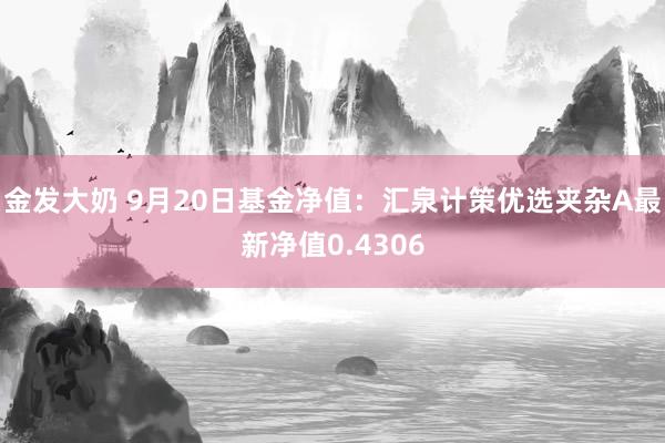 金发大奶 9月20日基金净值：汇泉计策优选夹杂A最新净值0.4306