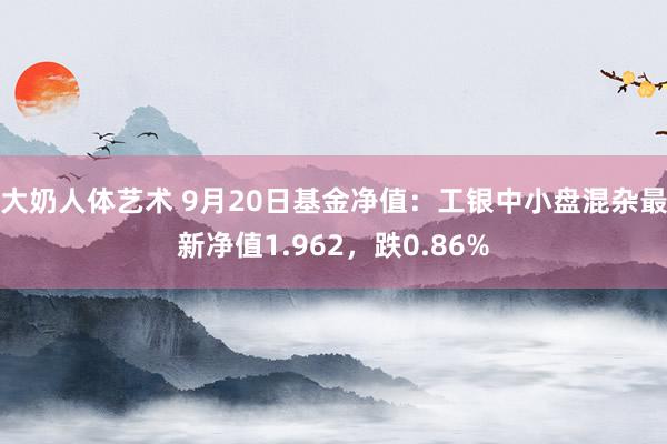 大奶人体艺术 9月20日基金净值：工银中小盘混杂最新净值1.962，跌0.86%