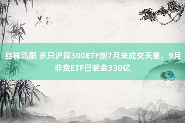 丝袜高跟 多只沪深300ETF创7月来成交天量，9月非货ETF已吸金330亿