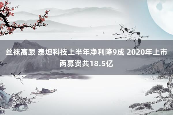 丝袜高跟 泰坦科技上半年净利降9成 2020年上市两募资共18.5亿