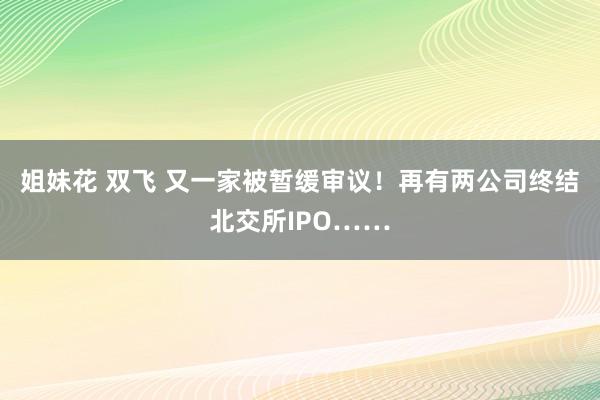 姐妹花 双飞 又一家被暂缓审议！再有两公司终结北交所IPO……