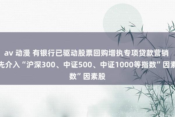 av 动漫 有银行已驱动股票回购增执专项贷款营销 优先介入“沪深300、中证500、中证1000等指数”因素股