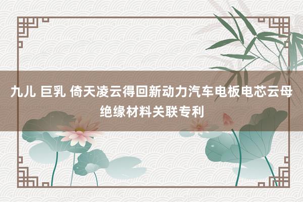 九儿 巨乳 倚天凌云得回新动力汽车电板电芯云母绝缘材料关联专利