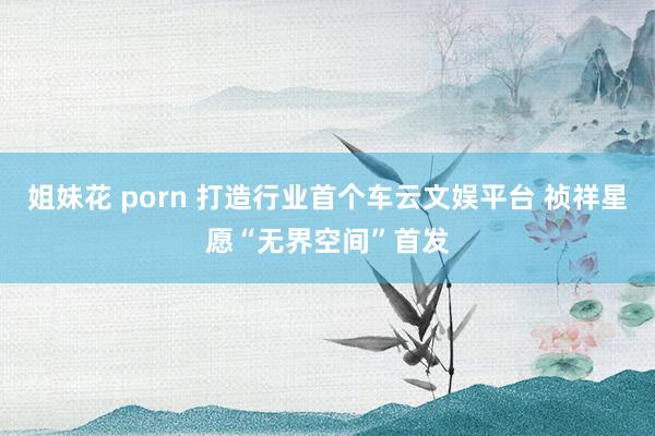 姐妹花 porn 打造行业首个车云文娱平台 祯祥星愿“无界空间”首发