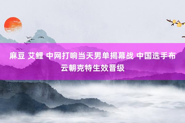 麻豆 艾鲤 中网打响当天男单揭幕战 中国选手布云朝克特生效晋级