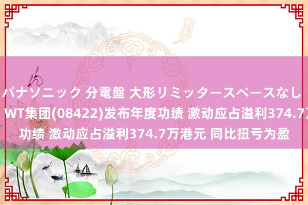 パナソニック 分電盤 大形リミッタースペースなし 露出・半埋込両用形 WT集团(08422)发布年度功绩 激动应占溢利374.7万港元 同比扭亏为盈