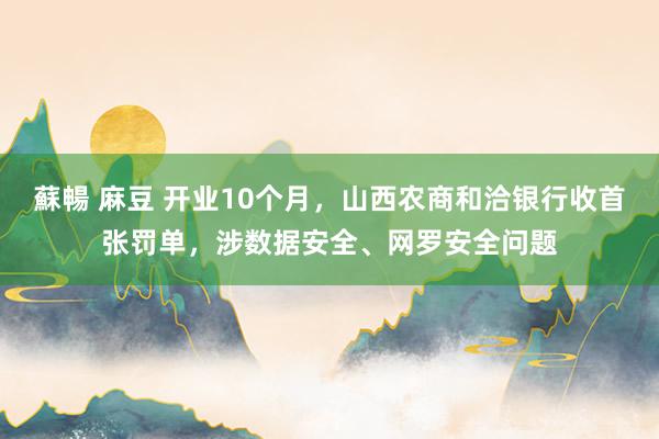 蘇暢 麻豆 开业10个月，山西农商和洽银行收首张罚单，涉数据安全、网罗安全问题