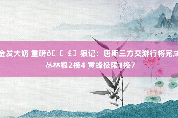 金发大奶 重磅💣️狼记：唐斯三方交游行将完成 丛林狼2换4 黄蜂极限1换7