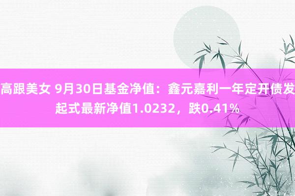 高跟美女 9月30日基金净值：鑫元嘉利一年定开债发起式最新净值1.0232，跌0.41%