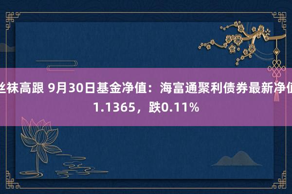 丝袜高跟 9月30日基金净值：海富通聚利债券最新净值1.1365，跌0.11%