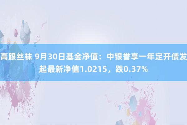 高跟丝袜 9月30日基金净值：中银誉享一年定开债发起最新净值1.0215，跌0.37%