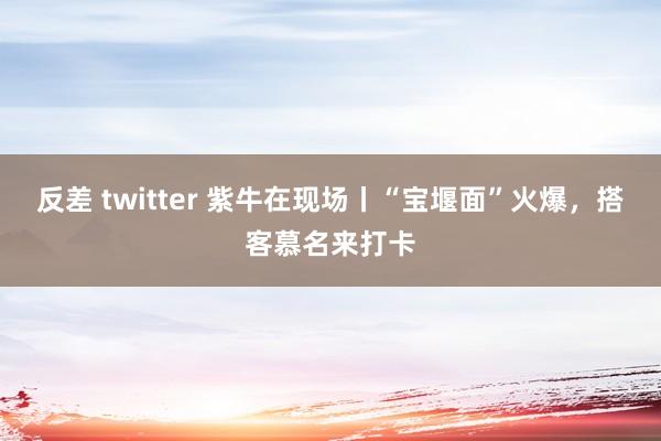 反差 twitter 紫牛在现场丨“宝堰面”火爆，搭客慕名来打卡