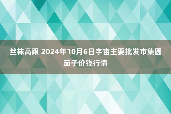 丝袜高跟 2024年10月6日宇宙主要批发市集圆茄子价钱行情