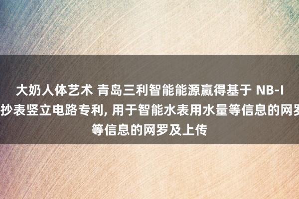 大奶人体艺术 青岛三利智能能源赢得基于 NB-IoT 手握抄表竖立电路专利， 用于智能水表用水量等信息的网罗及上传