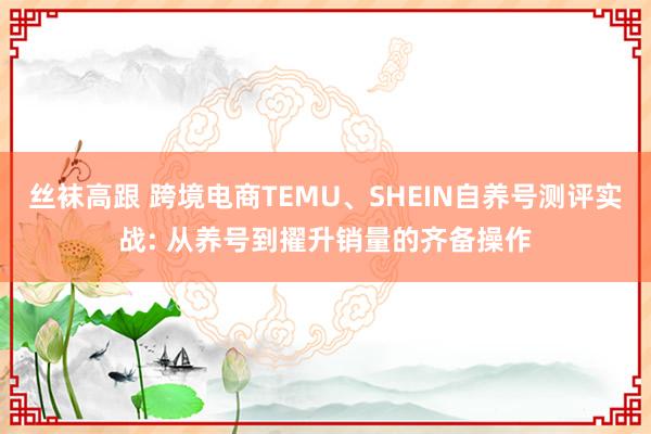 丝袜高跟 跨境电商TEMU、SHEIN自养号测评实战: 从养号到擢升销量的齐备操作