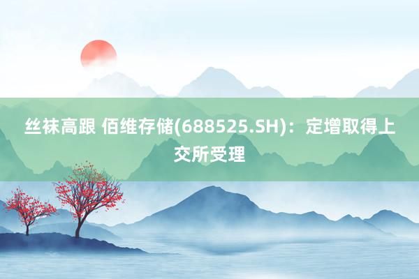 丝袜高跟 佰维存储(688525.SH)：定增取得上交所受理