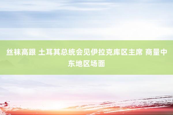 丝袜高跟 土耳其总统会见伊拉克库区主席 商量中东地区场面