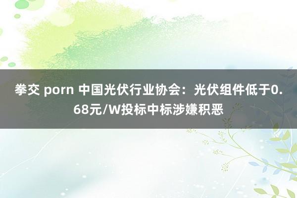 拳交 porn 中国光伏行业协会：光伏组件低于0.68元/W投标中标涉嫌积恶