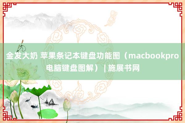 金发大奶 苹果条记本键盘功能图（macbookpro电脑键盘图解） | 施展书网