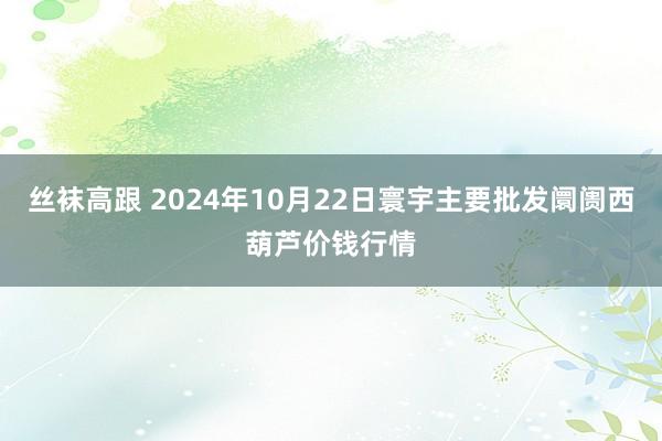 丝袜高跟 2024年10月22日寰宇主要批发阛阓西葫芦价钱行情