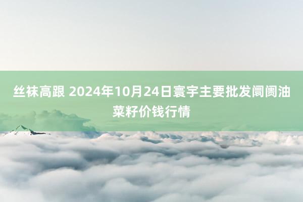 丝袜高跟 2024年10月24日寰宇主要批发阛阓油菜籽价钱行情