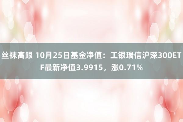 丝袜高跟 10月25日基金净值：工银瑞信沪深300ETF最新净值3.9915，涨0.71%