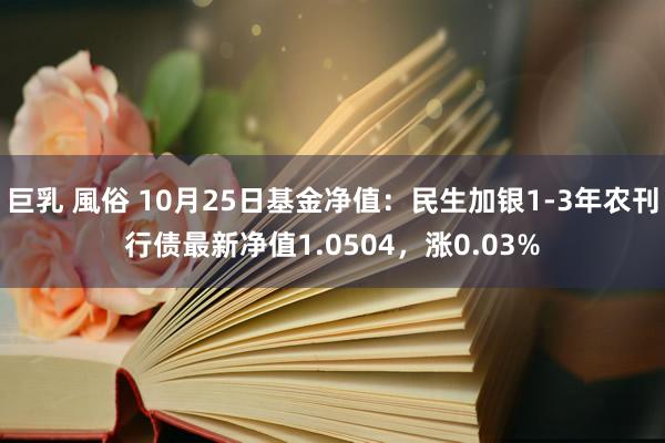 巨乳 風俗 10月25日基金净值：民生加银1-3年农刊行债最新净值1.0504，涨0.03%