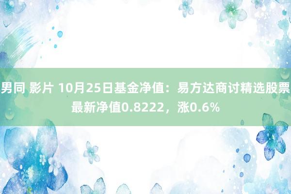 男同 影片 10月25日基金净值：易方达商讨精选股票最新净值0.8222，涨0.6%