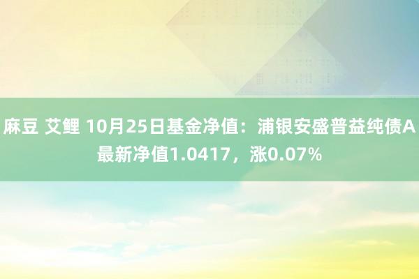 麻豆 艾鲤 10月25日基金净值：浦银安盛普益纯债A最新净值1.0417，涨0.07%