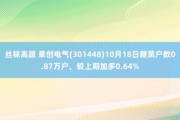 丝袜高跟 草创电气(301448)10月18日鞭策户数0.87万户，较上期加多0.64%