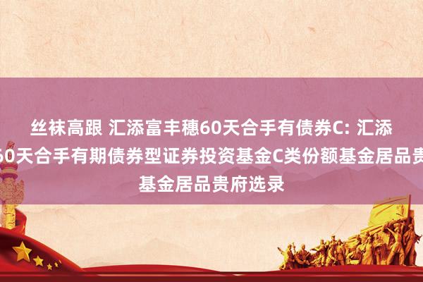 丝袜高跟 汇添富丰穗60天合手有债券C: 汇添富丰穗60天合手有期债券型证券投资基金C类份额基金居品贵府选录