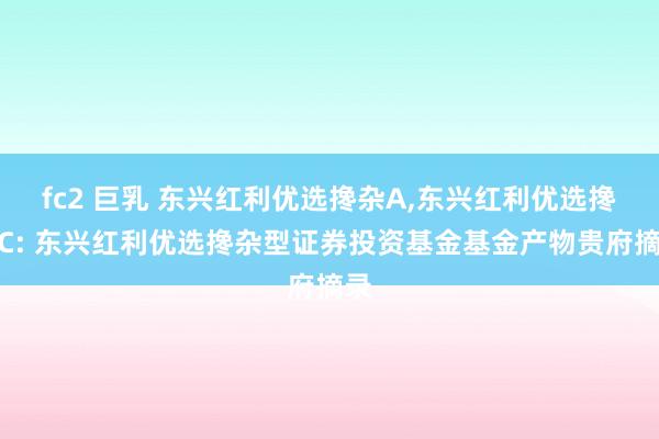 fc2 巨乳 东兴红利优选搀杂A，东兴红利优选搀杂C: 东兴红利优选搀杂型证券投资基金基金产物贵府摘录