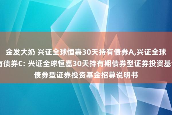 金发大奶 兴证全球恒嘉30天持有债券A，兴证全球恒嘉30天持有债券C: 兴证全球恒嘉30天持有期债券型证券投资基金招募说明书